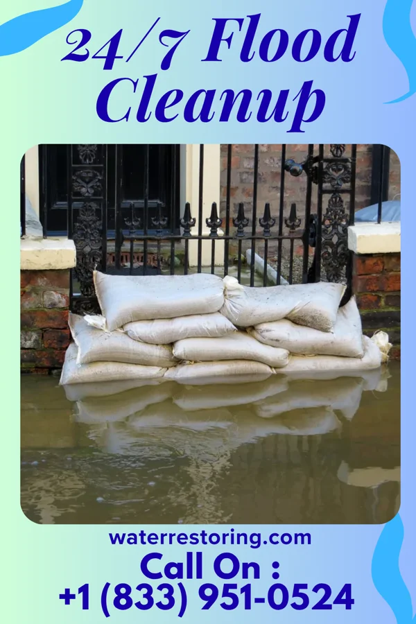 24/7 Flood Cleanup in Vermilion, IL