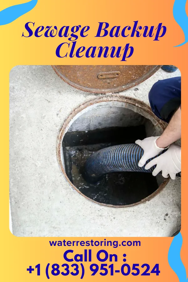 Sewage Backup Cleanup in Vermilion, IL
